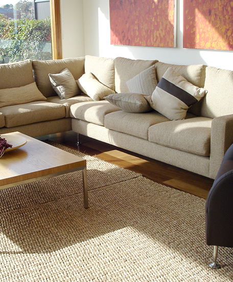 Cleaned Upholstery in Shakopee, MN